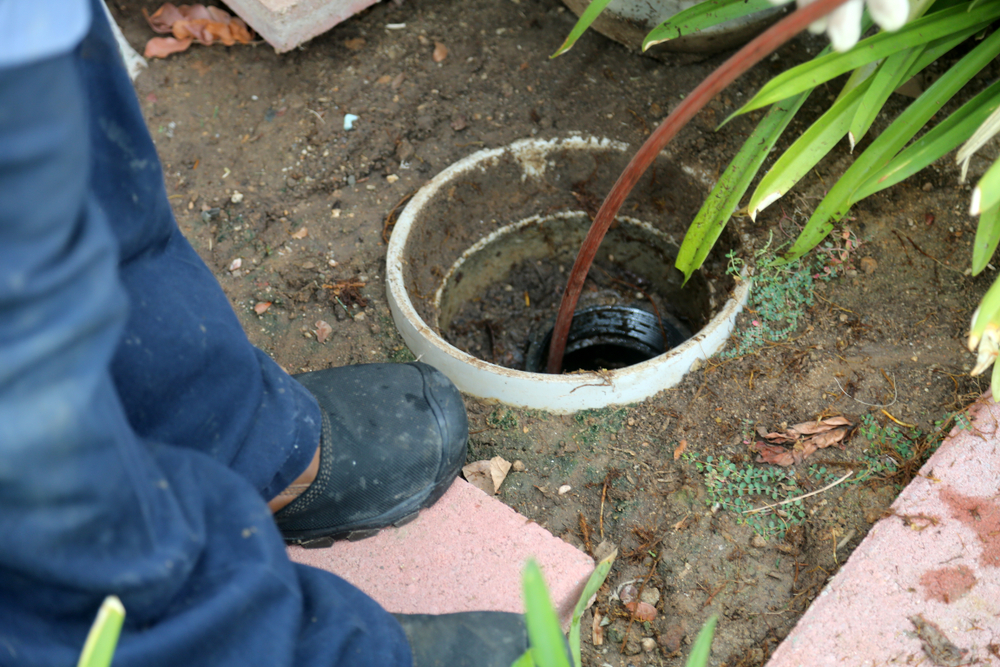 Hire The Experts To Unclog Sewer Line In Brier