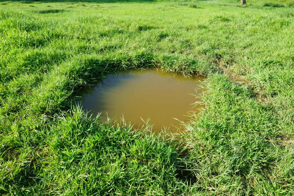 Reach Us Anytime For Emergency Septic Repair Service In Marysville