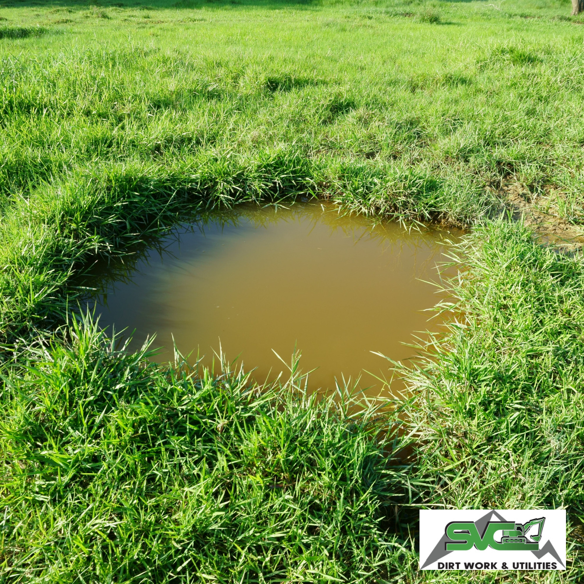 Is Your Darrington Property's Drain Field Giving You Issue