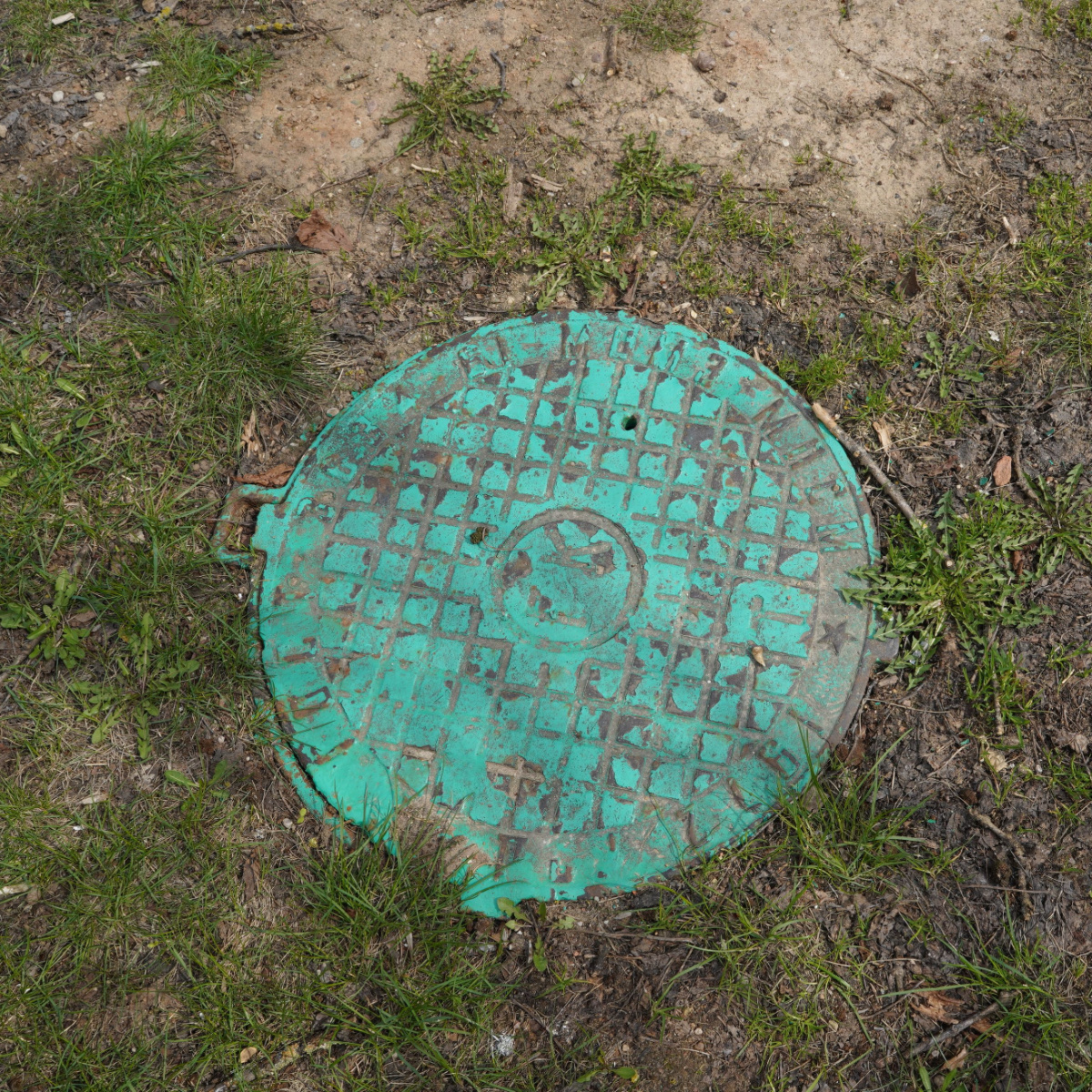 Septic Drain Field Repair: Key to Healthy Septic System in Marysville